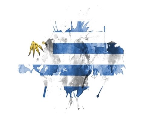 Uruguay Wines