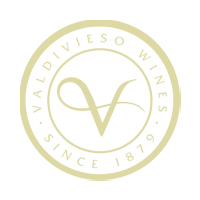 Valdivieso