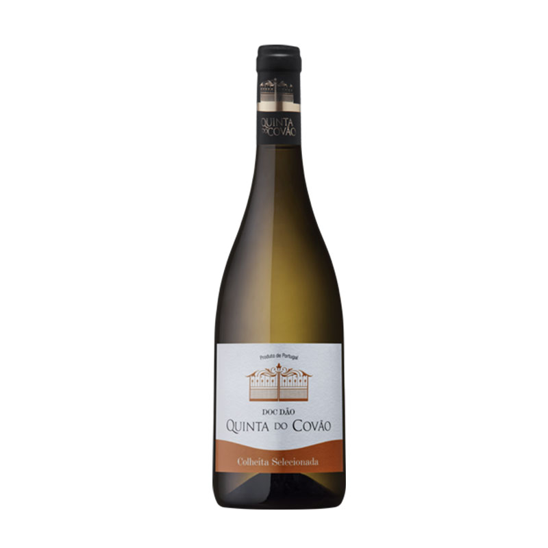 Quinta do Covão White 2023